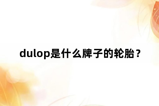 dulop是什么牌子的轮胎？