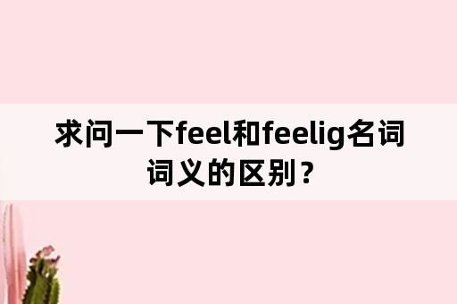 求问一下feel和feelig名词词义的区别？