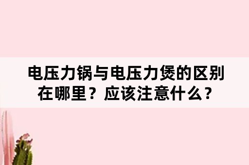 电压力锅与电压力煲的区别在哪里？应该注意什么？