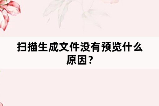 扫描生成文件没有预览什么原因？