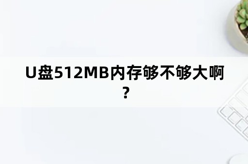 U盘512MB内存够不够大啊？