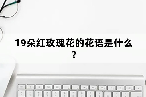 19朵红玫瑰花的花语是什么？