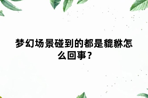 梦幻场景碰到的都是貔貅怎么回事？