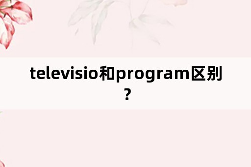 televisio和program区别？