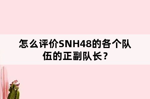 怎么评价SNH48的各个队伍的正副队长？