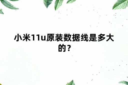 小米11u原装数据线是多大的？