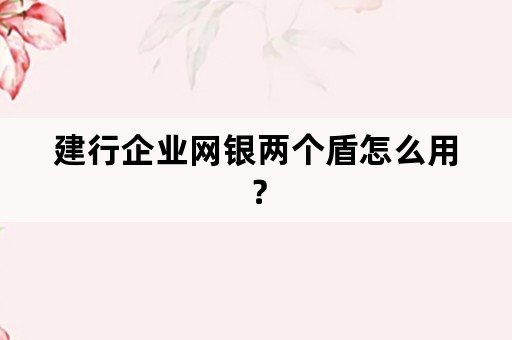 建行企业网银两个盾怎么用？