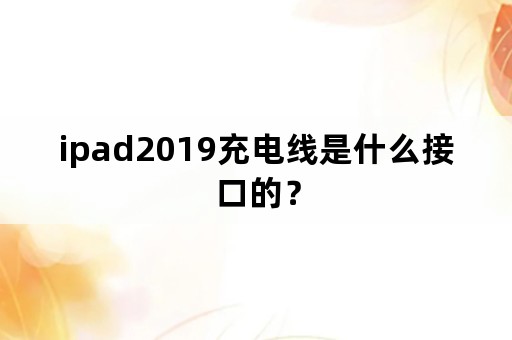 ipad2019充电线是什么接口的？