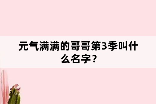 元气满满的哥哥第3季叫什么名字？