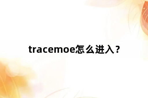 tracemoe怎么进入？