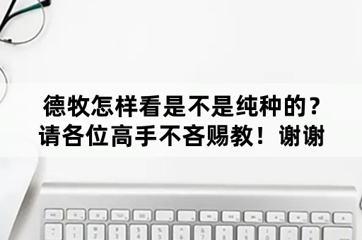 德牧怎样看是不是纯种的？请各位高手不吝赐教！谢谢？