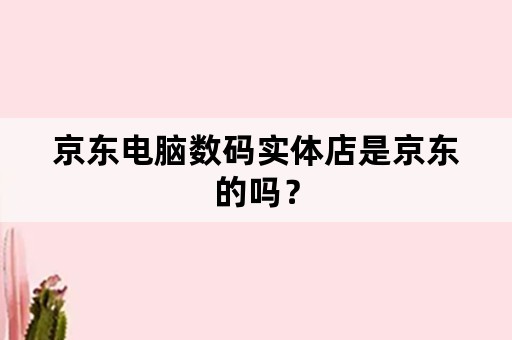 京东电脑数码实体店是京东的吗？