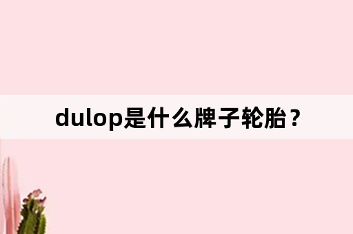 dulop是什么牌子轮胎？