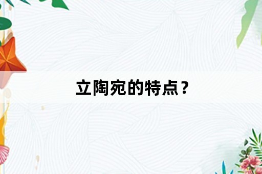 立陶宛的特点？