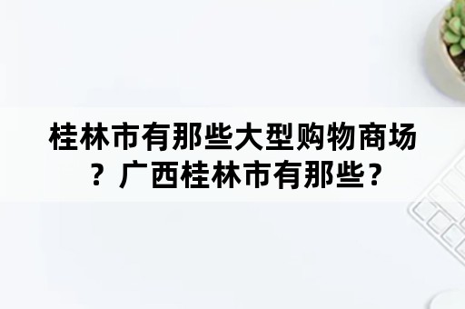 桂林市有那些大型购物商场？广西桂林市有那些？