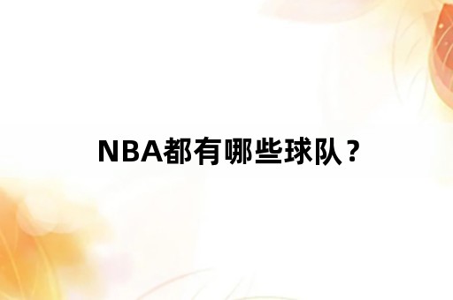 NBA都有哪些球队？