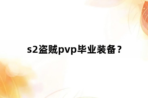 s2盗贼pvp毕业装备？