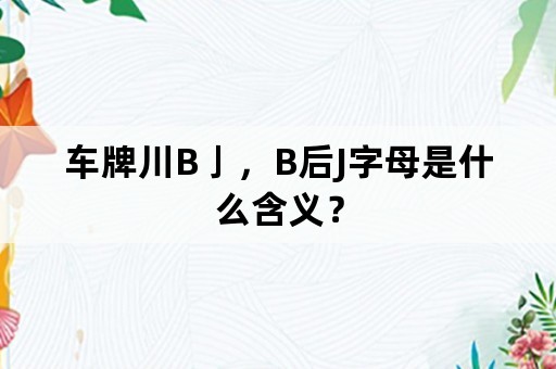 车牌川B亅，B后J字母是什么含义？