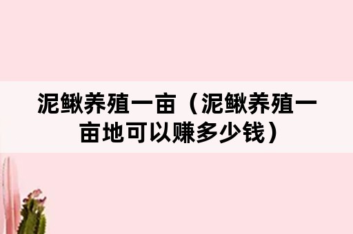 泥鳅养殖一亩（泥鳅养殖一亩地可以赚多少钱）