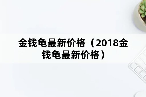 金钱龟最新价格（2018金钱龟最新价格）