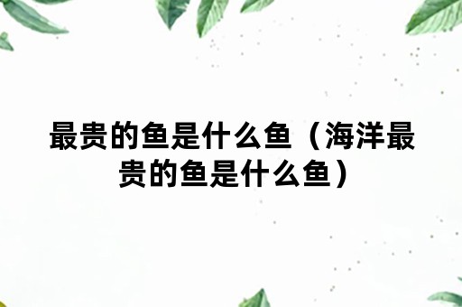 最贵的鱼是什么鱼（海洋最贵的鱼是什么鱼）