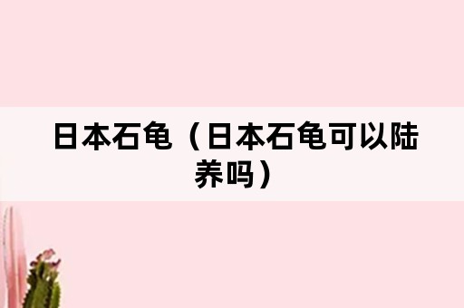 日本石龟（日本石龟可以陆养吗）