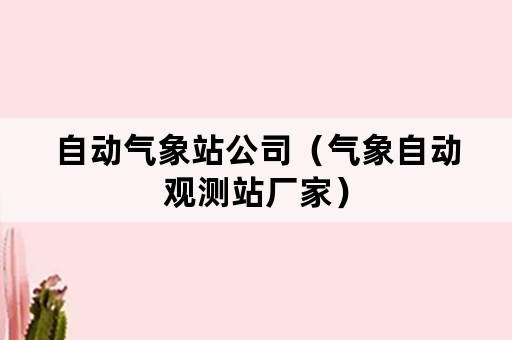 自动气象站公司（气象自动观测站厂家）