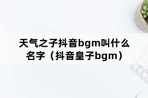 天气之子抖音bgm叫什么名字（抖音皇子bgm）