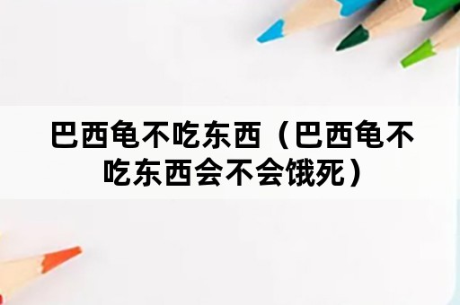 巴西龟不吃东西（巴西龟不吃东西会不会饿死）