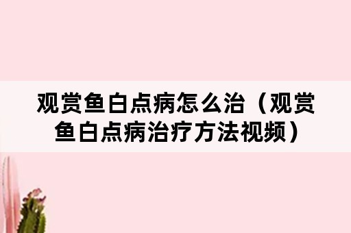 观赏鱼白点病怎么治（观赏鱼白点病治疗方法视频）