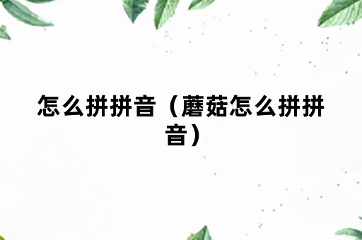 怎么拼拼音（蘑菇怎么拼拼音）