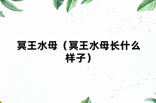 冥王水母（冥王水母长什么样子）