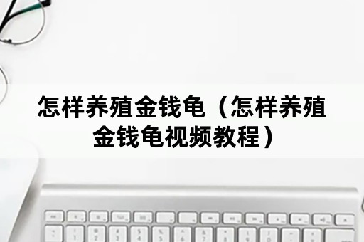 怎样养殖金钱龟（怎样养殖金钱龟视频教程）