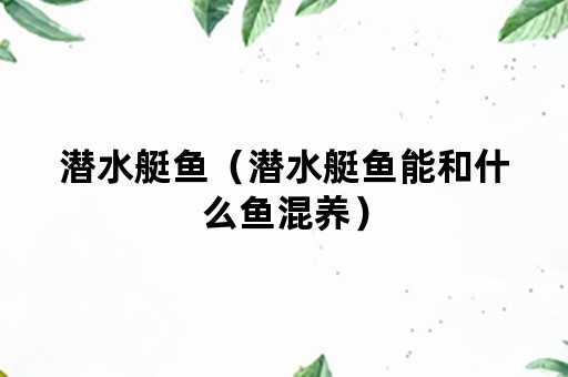 潜水艇鱼（潜水艇鱼能和什么鱼混养）