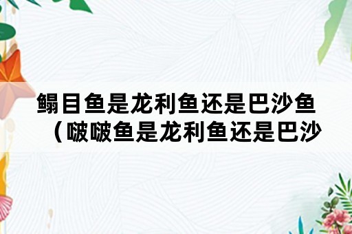 鳎目鱼是龙利鱼还是巴沙鱼（啵啵鱼是龙利鱼还是巴沙鱼）