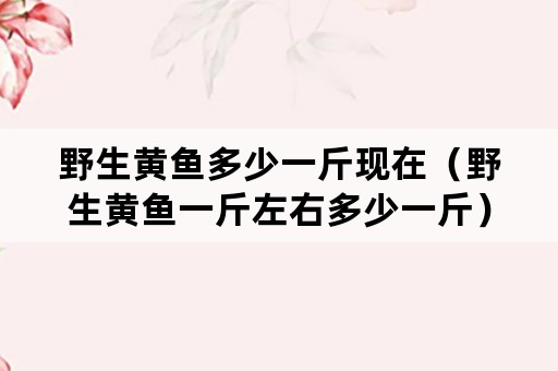 野生黄鱼多少一斤现在（野生黄鱼一斤左右多少一斤）