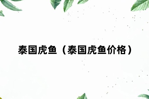 泰国虎鱼（泰国虎鱼价格）