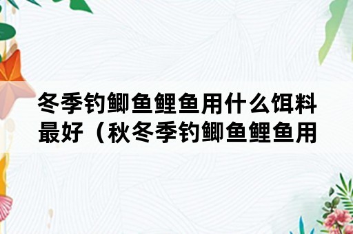 冬季钓鲫鱼鲤鱼用什么饵料最好（秋冬季钓鲫鱼鲤鱼用什么饵料好）