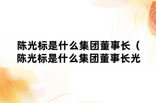 陈光标是什么集团董事长（陈光标是什么集团董事长光盘行动）