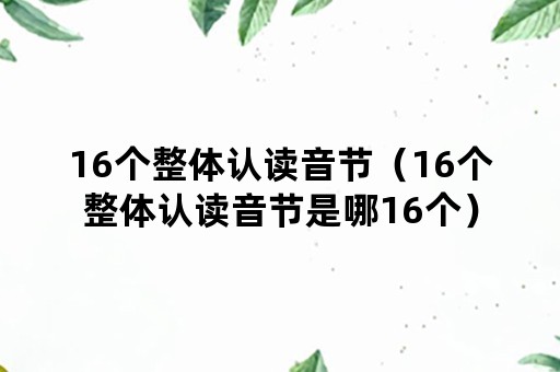 16个整体认读音节（16个整体认读音节是哪16个）