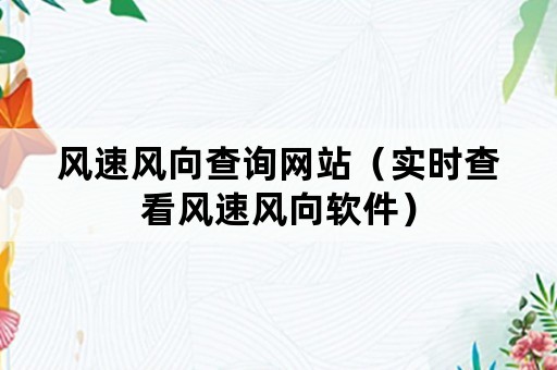 风速风向查询网站（实时查看风速风向软件）