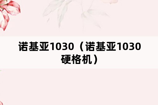 诺基亚1030（诺基亚1030硬格机）