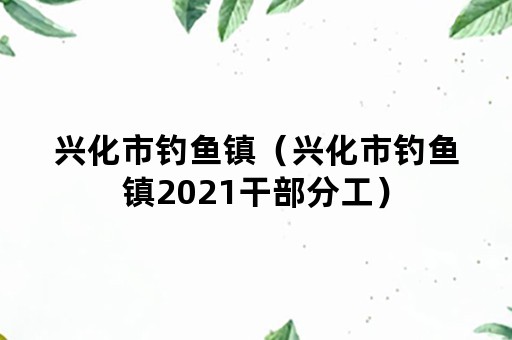 兴化市钓鱼镇（兴化市钓鱼镇2021干部分工）