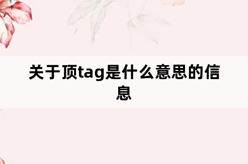 关于顶tag是什么意思的信息