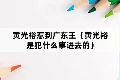 黄光裕惹到广东王（黄光裕是犯什么事进去的）