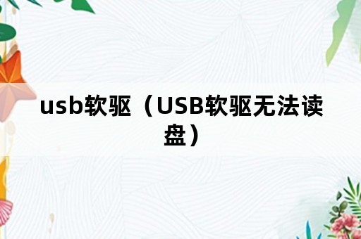 usb软驱（USB软驱无法读盘）