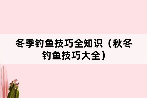 冬季钓鱼技巧全知识（秋冬钓鱼技巧大全）