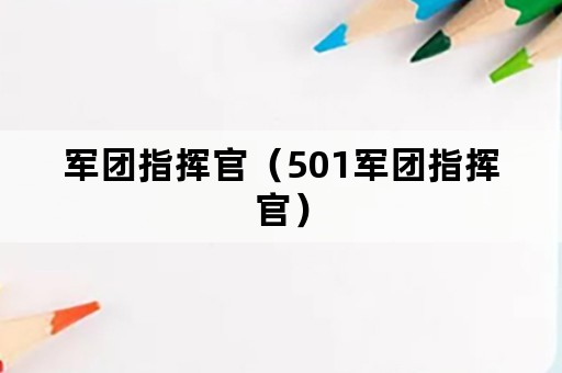 军团指挥官（501军团指挥官）