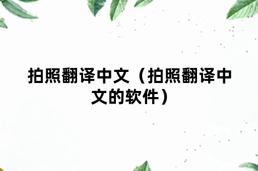 拍照翻译中文（拍照翻译中文的软件）