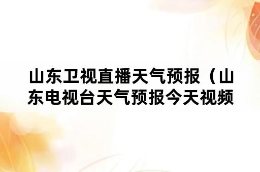 山东卫视直播天气预报（山东电视台天气预报今天视频直播）